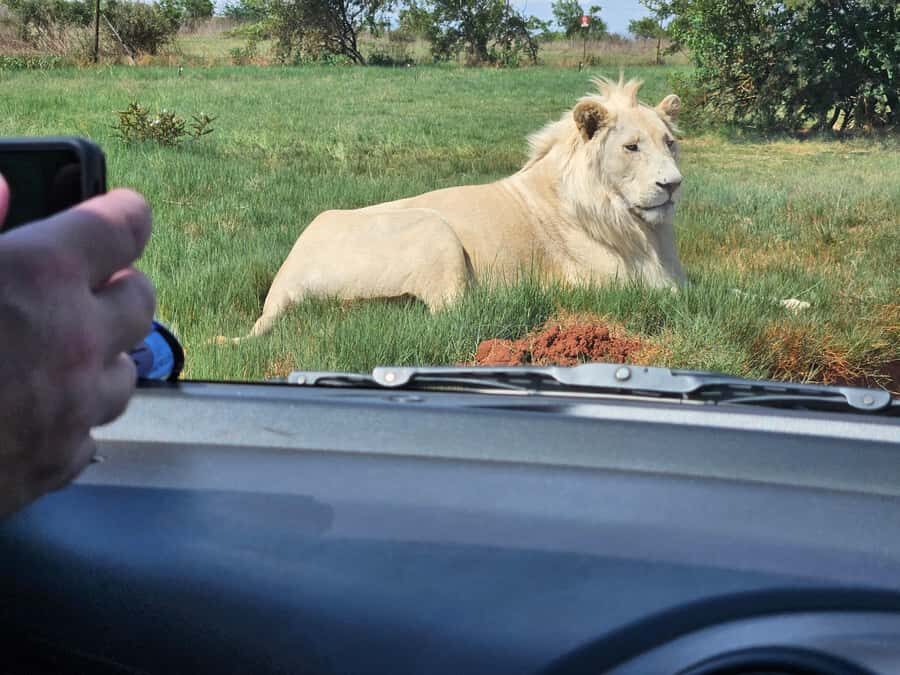 Private Rhino and Lion Park, Cradle Caves or Maropeng Museum - Little Foot and Mrs Ples: The Fossils That Make the Day Click