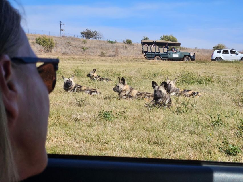 Private Rhino and Lion Park, Cradle Caves or Maropeng Museum - Practical Details That Can Make or Break the Day