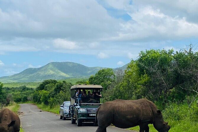 Private Safari and Wildlife Tour in Hluhluwe - Key highlights worth your attention