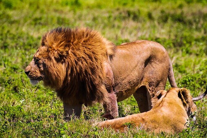 Private Safari and Wildlife Tour in Hluhluwe - Your guided drive through savannah and riverine bush