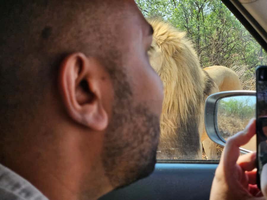 Private Safari Tour: Pilansberg National Park Big 5 - Private Safari in a Small Group (Max 3) With Your Own Vehicle