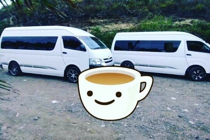 Private St. Lucia Airport Transfer to BodyHoliday Saint Lucia - Private airport-to-resort pickup at BodyHoliday Saint Lucia