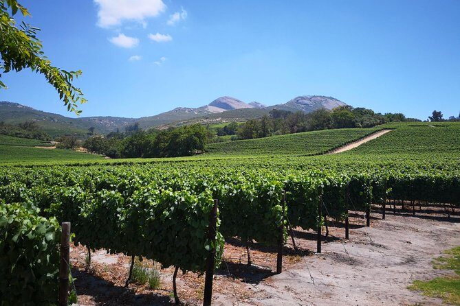 Private Stellenbosch, Franschhoek Paarl Wine Tour from Cape Town - Cape Town pickup and timing: the 9:30 start matters