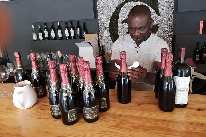 Private Stellenbosch, Franschhoek Paarl Wine Tour from Cape Town - Wine tastings and the eight-wine master pairing: budgeting like a pro