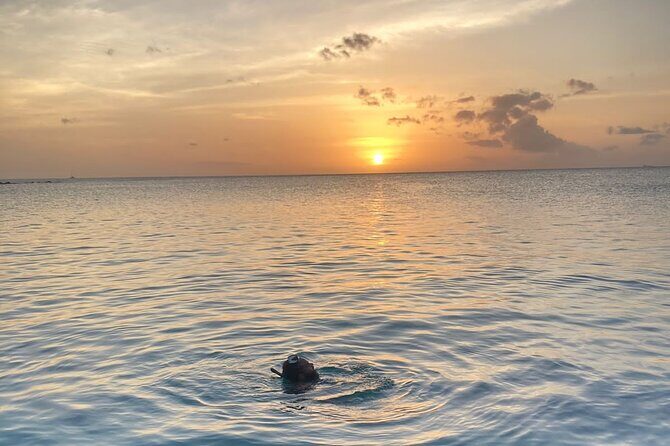 Private Sunset and Snorkel Cruise - Key Highlights You’ll Actually Care About
