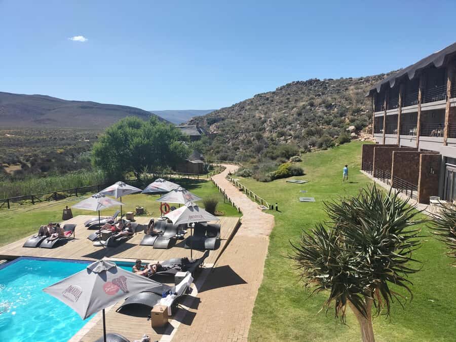 Private Tour: Big 5 Safari, Experience the wild animals - What animals you can realistically hope to see