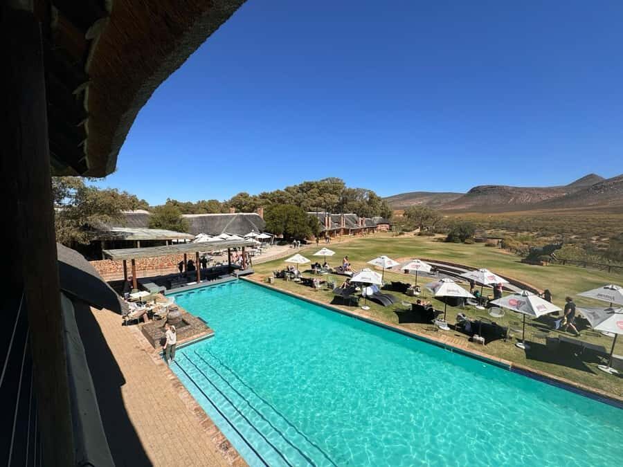 Private Tour: Big 5 Safari, Experience the wild animals - The Drakenstein Prison photo stop: short break, real context