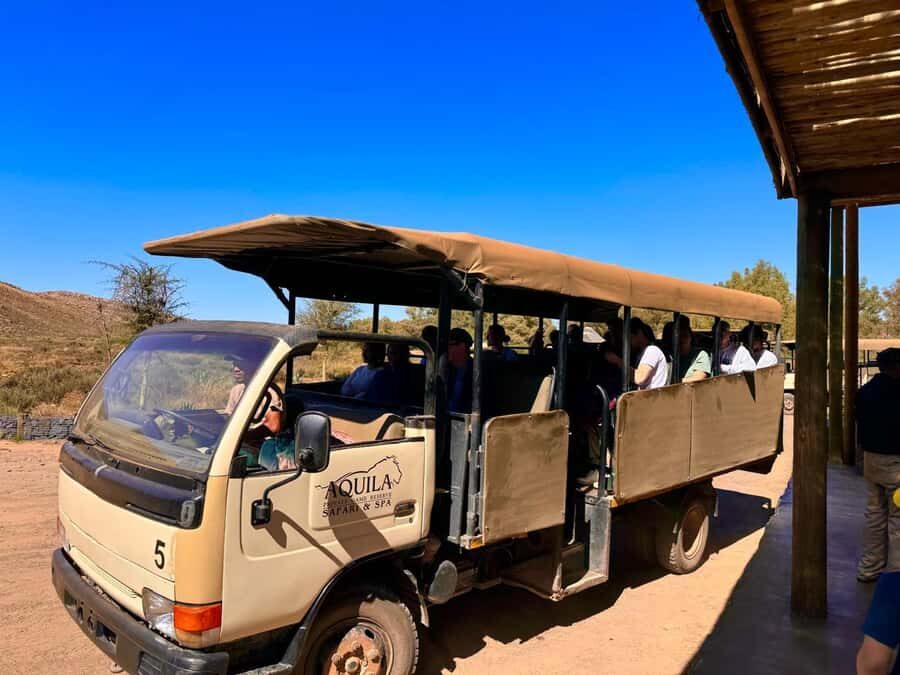 Private Tour: Big 5 Safari, Experience the wild animals - Who should book this safari—and who should skip it