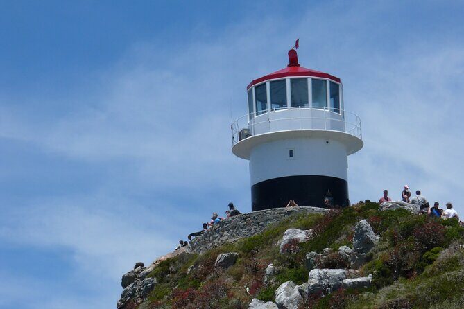 Private Tour: Cape of Good Hope, Cape point and Boulders Beach - Bo-Kaap: quick color, quick context, then out to the coast