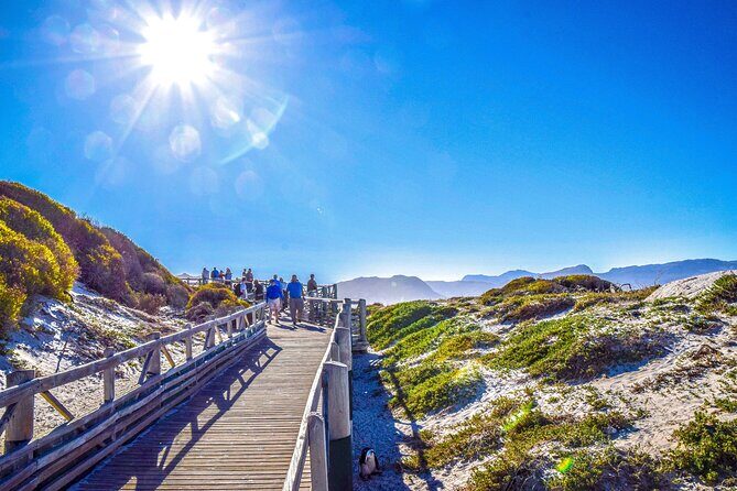 Private Tour: Cape of Good Hope, Cape point and Boulders Beach - Cape Point: the meeting of oceans and the kind of views you remember