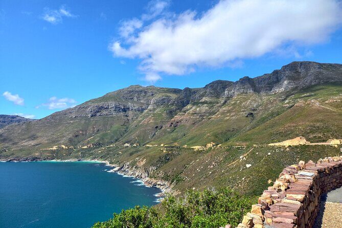 Private Tour: Cape of Good Hope, Cape point and Boulders Beach - Boulders Beach Penguin Colony: the closeness makes it worth it