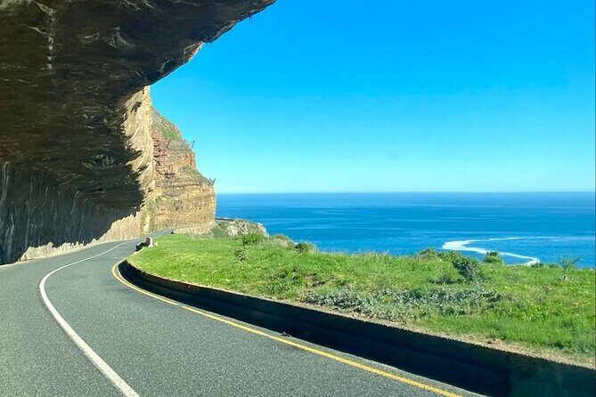 Private Tour: Cape of Good Hope, Cape point and Boulders Beach - Price and logistics: what you’re really paying for