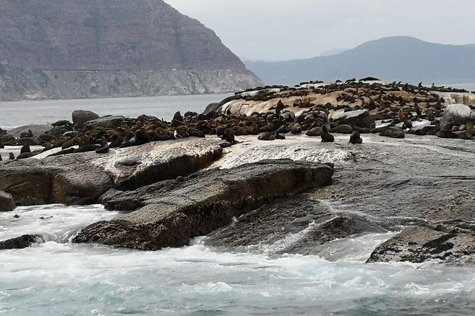 Private Tour: Cape of Good Hope Cape Point Penguins Kirstenbosch - The Ride Home: Scarborough, Misty Cliffs, and the Old Cape Road