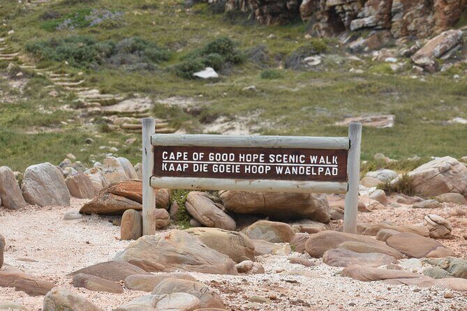 Private Tour Cape of Good Hope & Penguins Sightseeing Full day - Chapman’s Peak Drive: scenic driving, with one real-world caution