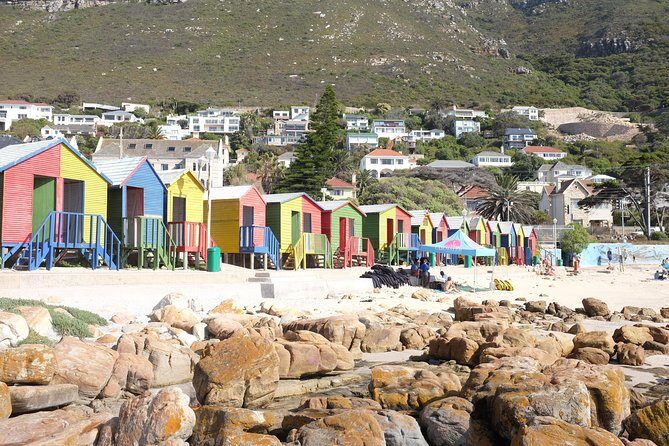Private Tour: Cape Of Good Hope & Wine Tasting - Kalk Bay Harbour and St. James Beach: Local Life + Color on the Waterline