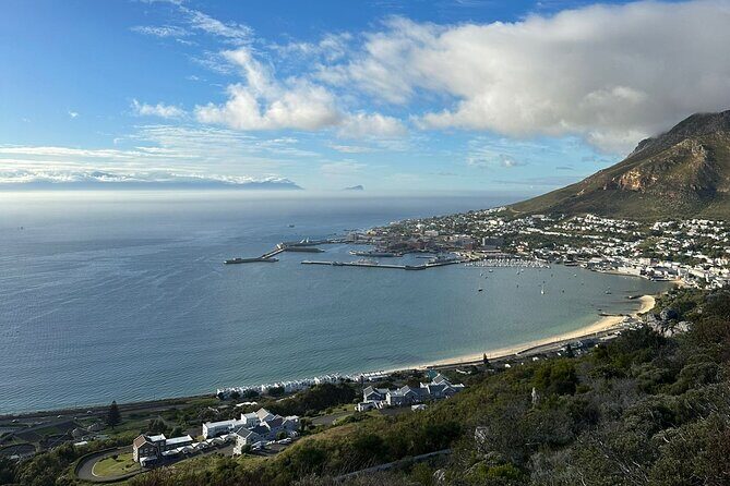 Private Tour Cape of Good Hope with Penguins - Boulders Beach Penguin Colony: Where the Day Comes Alive
