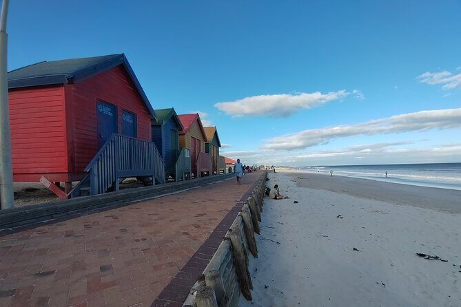 Private Tour : Cape of Good Hope,Penguin Colony& Muizenberg Beach - Ostrich Farm Stop: Fun, Edgy, and Brief