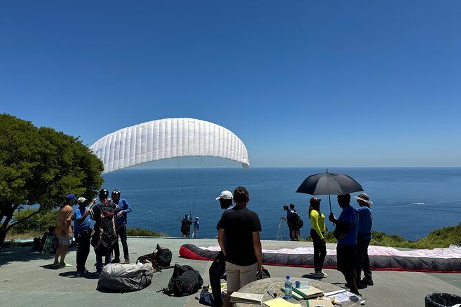 Private Tour: Cape Peninsula & Penguin Beach, Cape Point & more - Morning pickup and a quick city orientation that helps you read the day
