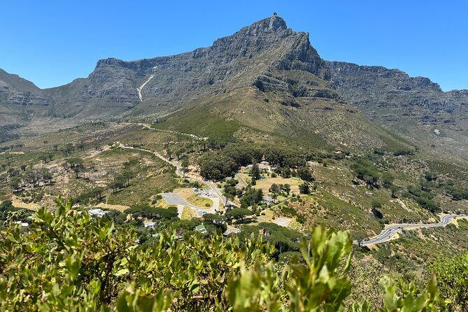 Private Tour: Cape Peninsula & Penguin Beach, Cape Point & more - Boulders Beach penguin colony: the close-up that steals the show