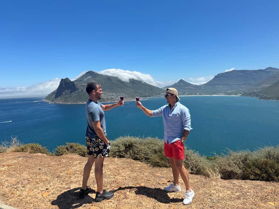 Private Tour: Cape Point, Penguins, Chapmans Peak & more... - Key highlights worth your attention