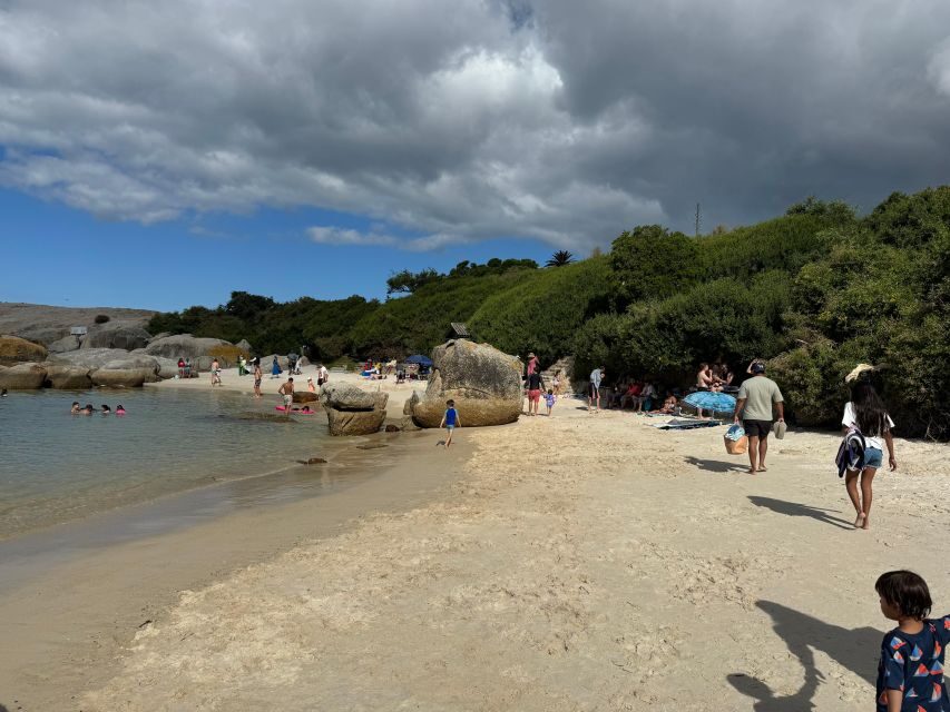 Private Tour: Cape Point, Penguins, Chapmans Peak & more... - Timing, weather, and what to bring for an 8-hour-style day