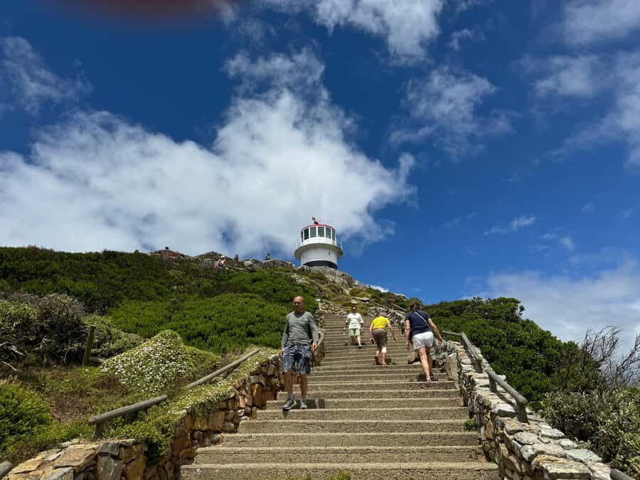 Private Tour: Cape Point, Penguins, Chapmans Peak & more... - Door-to-door private comfort from Cape Town and the Winelands