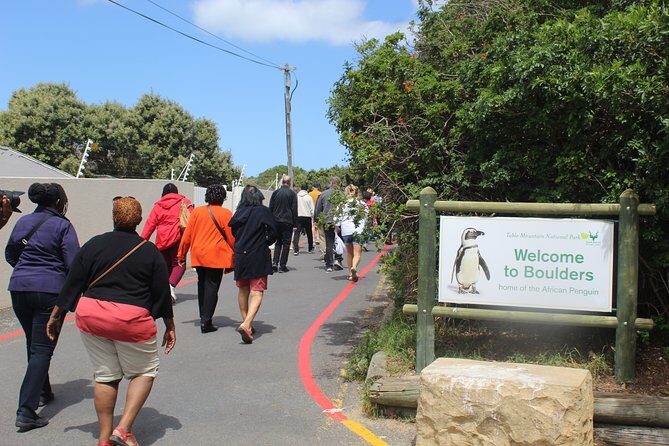 Private Tour from Cape Town To Cape of Good Hope Penguins Plus Wine Tasting F/D - Cape Point: lighthouse history, cliff views, and manageable walking