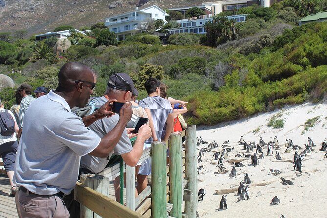 Private Tour from Cape Town To Cape of Good Hope Penguins Plus Wine Tasting F/D - Cape of Good Hope Nature Reserve: fynbos, birds, and baboon chances