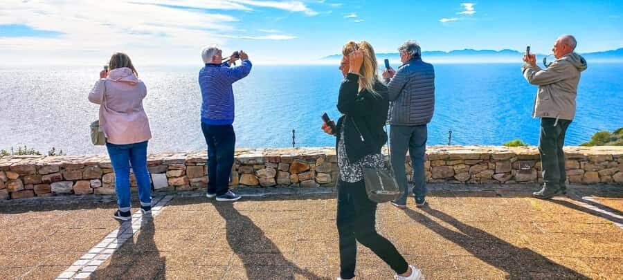 Private Tour from CapeTown to Cape of Good hope & cape point - Cape Point Vineyards: picnic and wine tasting without forcing a full meal