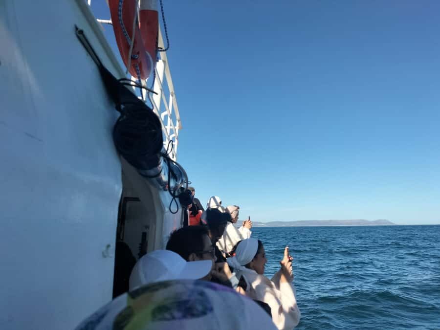 Private Tour: Hermanus- Boat Based Whale Watching Experience - How This Private Hermanus Day Really Works