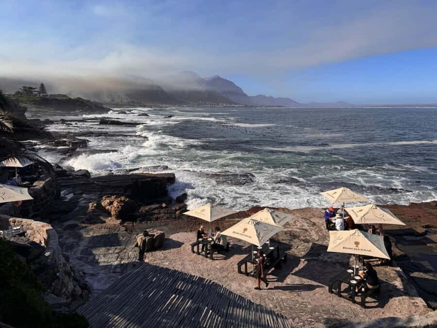 Private Tour: Hermanus- Boat Based Whale Watching Experience - Hermanus Time on the Ground: Guided Viewing for About 2.5 Hours