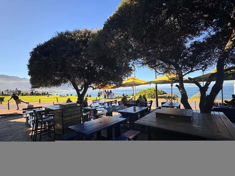 Private Tour: Hermanus- Boat Based Whale Watching Experience - Whale Watching by Boat: What You Should Expect on the Water