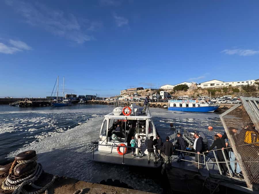 Private Tour: Hermanus- Boat Based Whale Watching Experience - Lunch Reservation at a Seafront Restaurant: Planning Your Own Meal