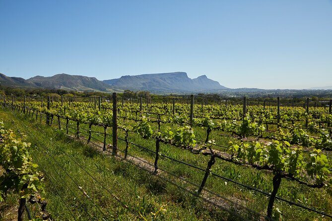 Private Tour of Top 5 Stellenbosch Wineries From Cape Town - Boschendal: valley scale between Simonsberg and Drakenstein