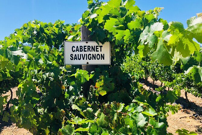 Private Tour of Top 5 Stellenbosch Wineries From Cape Town - Spier Wine Farm: 1692 heritage plus serious art and food
