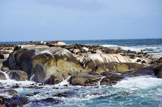 Private Tour: Penguins, Cape Point and Cape of Good Hope - Cape of Good Hope: Entry Fees Covered and Monuments to Spot