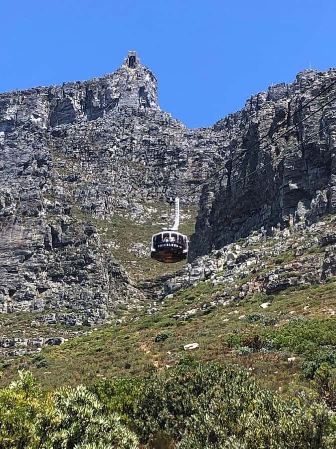 Private Tour: Robben Island, City Tour and Table Mountain - A guided city segment: tying the day together