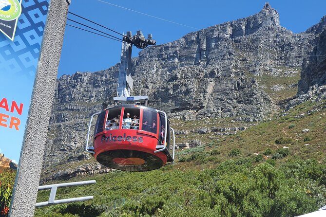 Private Tour: Table Mountain Boulder's Beach Penguin Cape Point - Price and Value: What $109.20 Covers (and What Doesn’t)