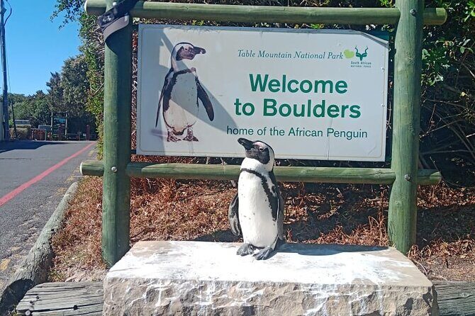 Private Tour: Table Mountain Boulder's Beach Penguin Cape Point - Cape Point Nature Reserve: Flora Kingdom + Lighthouses + Wildlife