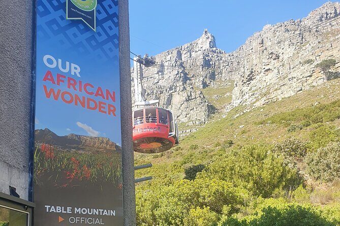 Private Tour: Table Mountain Boulder's Beach Penguin Cape Point - Cape of Good Hope: Named in 1487 and Built for Big-Feel Photos