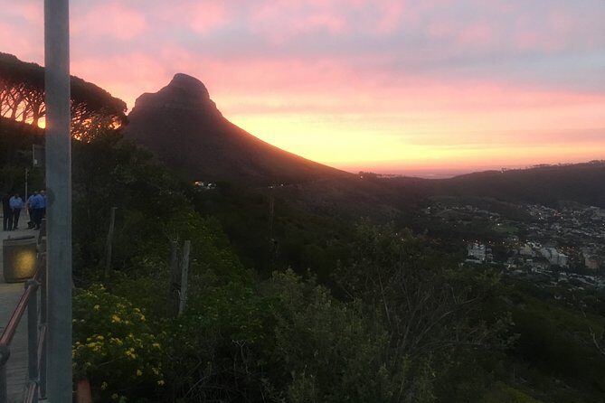 Private Tour: Table Mountain, Penguin Colony & Cape of Good Hope incl. Park Fees - Table Mountain Cable Car: Iconic Views with a Built-In Weather Plan