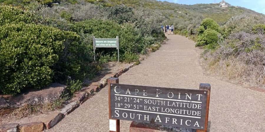 Private Tour: Table Mountain, Penguins Colony & Cape Of Good - Key moments that make this tour worth your time