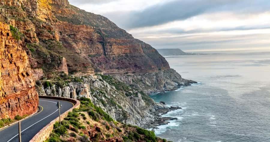 Private Tour: Table Mountain, Penguins Colony & Cape Of Good - Boulders Beach: seeing African penguins the right way