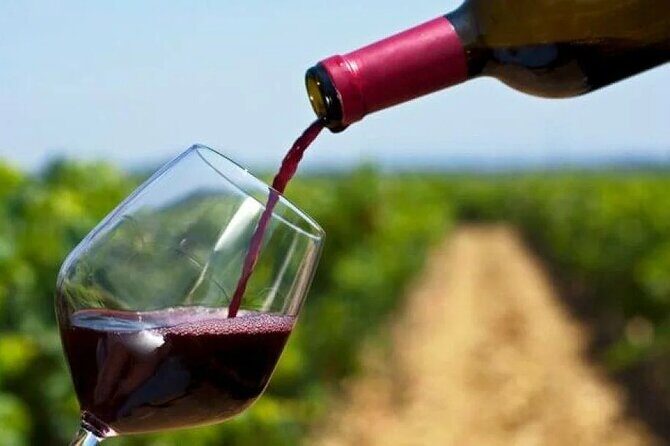 Private Tour to 20 Wine Tasting in Stellenbosch and Franschhoek - A Private Stellenbosch and Franschhoek Day That Mixes Wine With Context