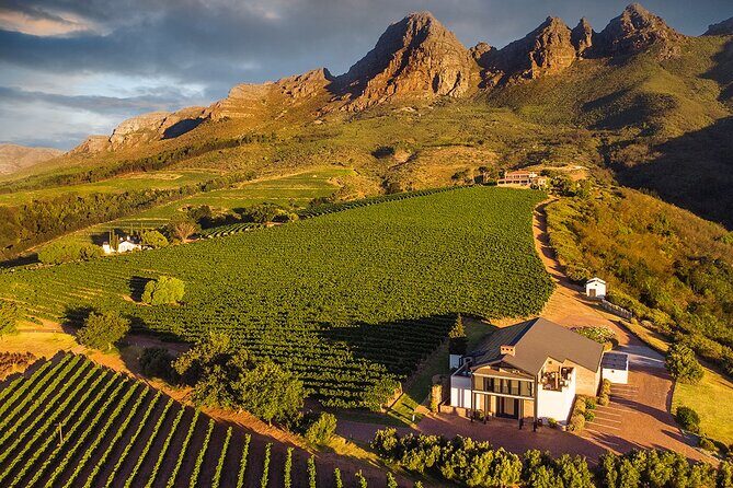 Private Tour to 20 Wine Tasting in Stellenbosch and Franschhoek - Price and Value: What You’re Really Paying For