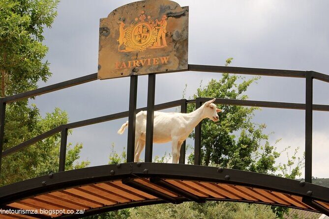 Private Tour to 20 Wine Tasting in Stellenbosch and Franschhoek - Delheim Lunch With a Real-World Budget Check