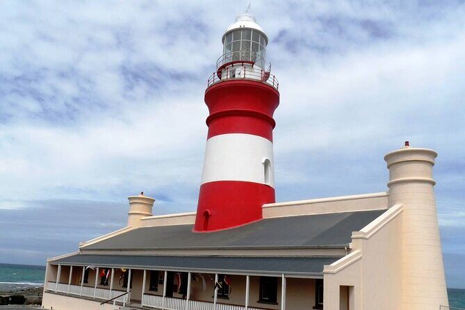 Private Tour to Cape Agulhas Full Day from Cape Town - A long day that’s actually organized: timing, driving, and the real flow