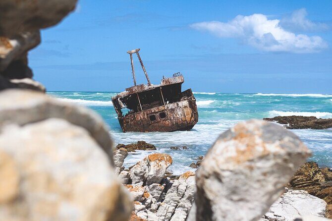 Private Tour to Cape Agulhas Full Day from Cape Town - What’s included in the route, and where you should double-check