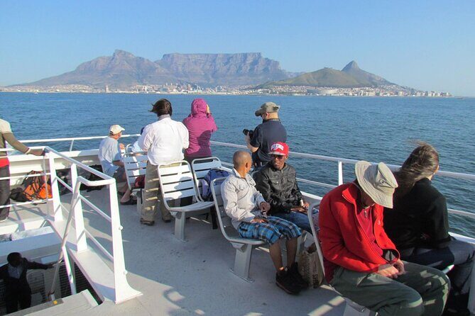 Private Tour to Robben Island and Cape Point in Cape Town - The 8-hour reality check: how this day actually plays out