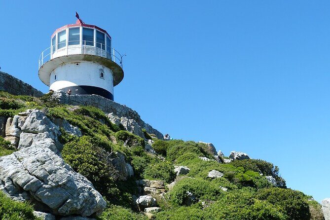 Private Tour to Robben Island and Cape Point in Cape Town - Cape of Good Hope: the quick stop that still feels like a highlight